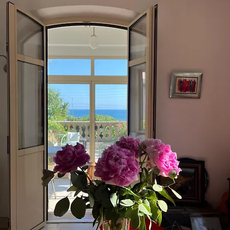 Tricia Κάννες